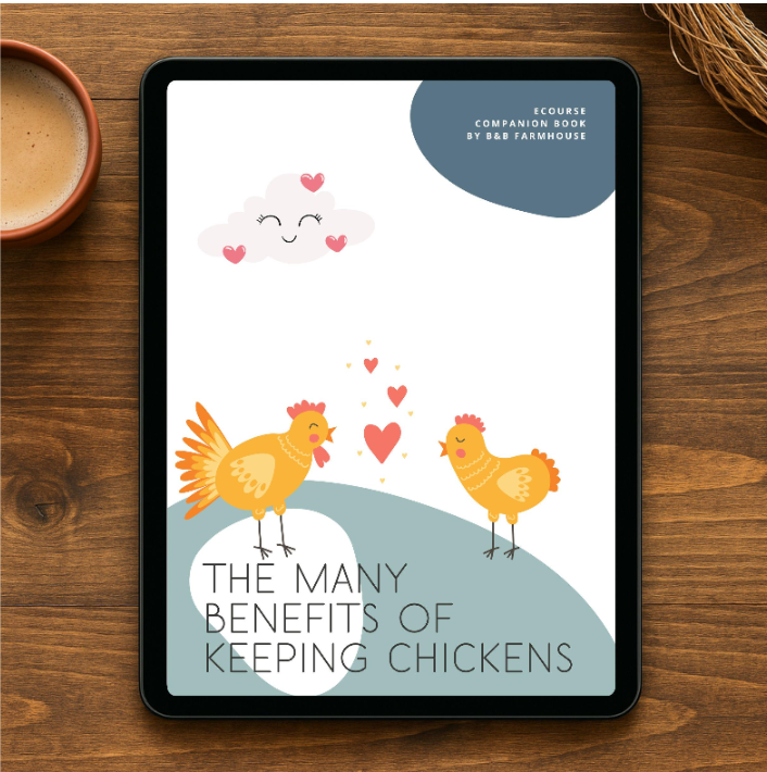 Raising Backyard Chickens | A Beginner’s Chicken-Keeping eBook & Checklist Bundle