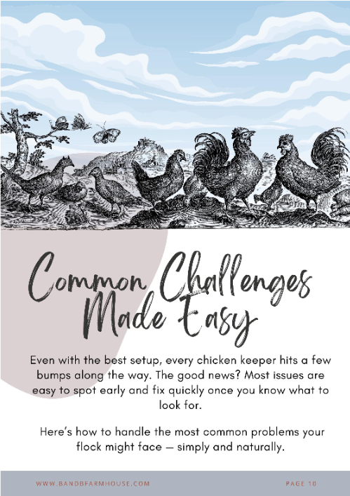 Raising Backyard Chickens | A Beginner’s Chicken-Keeping eBook & Checklist Bundle