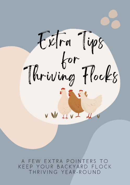 Raising Backyard Chickens | A Beginner’s Chicken-Keeping eBook & Checklist Bundle