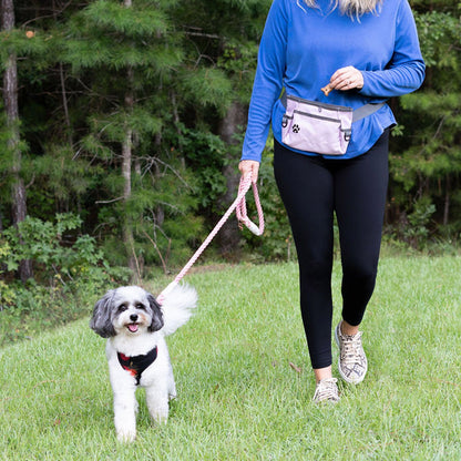 Custom Designed Dog Treat Pouch - Features Magnetic Closure, Large Capacity Fanny Pack Style for Hands-free Walking - Multiple Ways to Wear