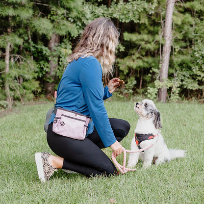 Dog Treat Pouch - Custom Designed Features Magnetic Closure, Adjustable Belt, Large Capacity with Multiple Ways to Wear